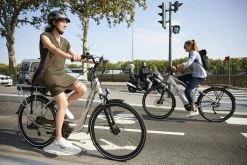 T-BIRD BORA BORA GRIS 2022 - Monvelo.com