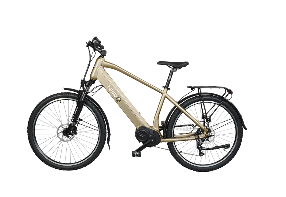 T-BIRD GOLDEN GATE SPORT - Monvelo.com