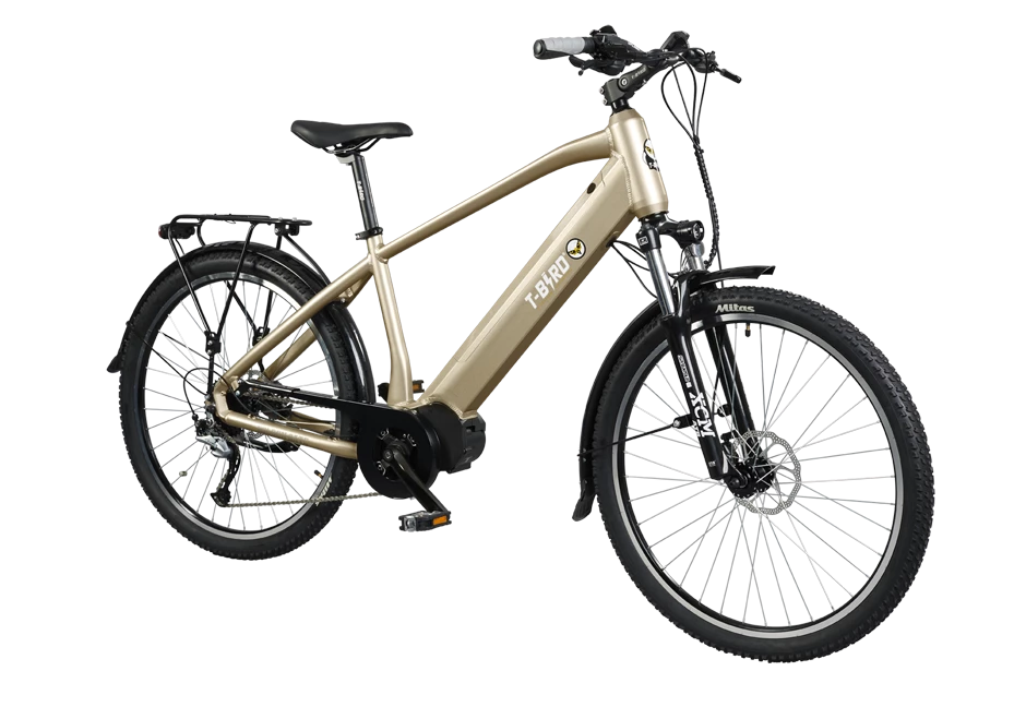 T-BIRD GOLDEN GATE SPORT - Monvelo.com – Image 2